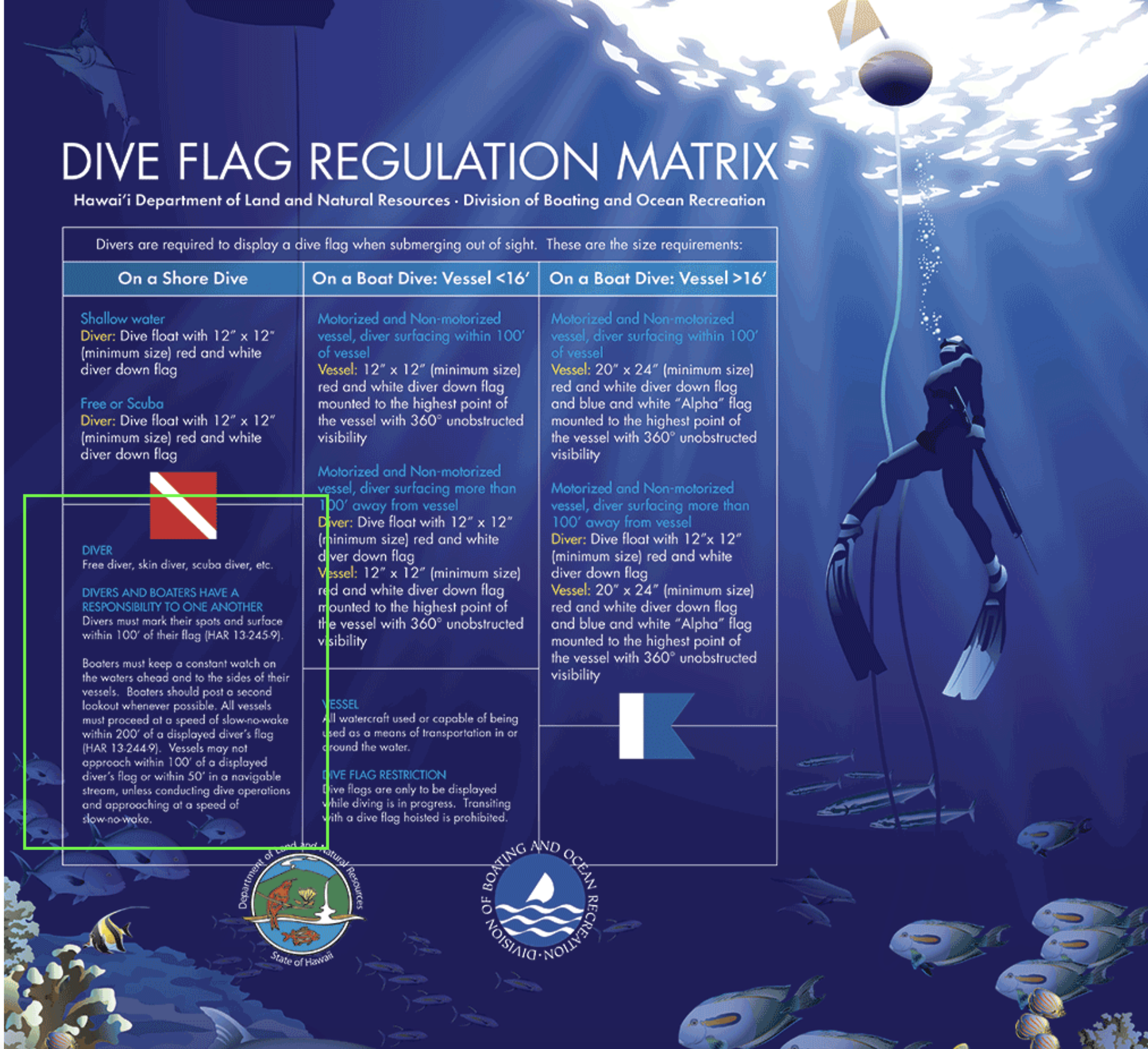 dive flag rules